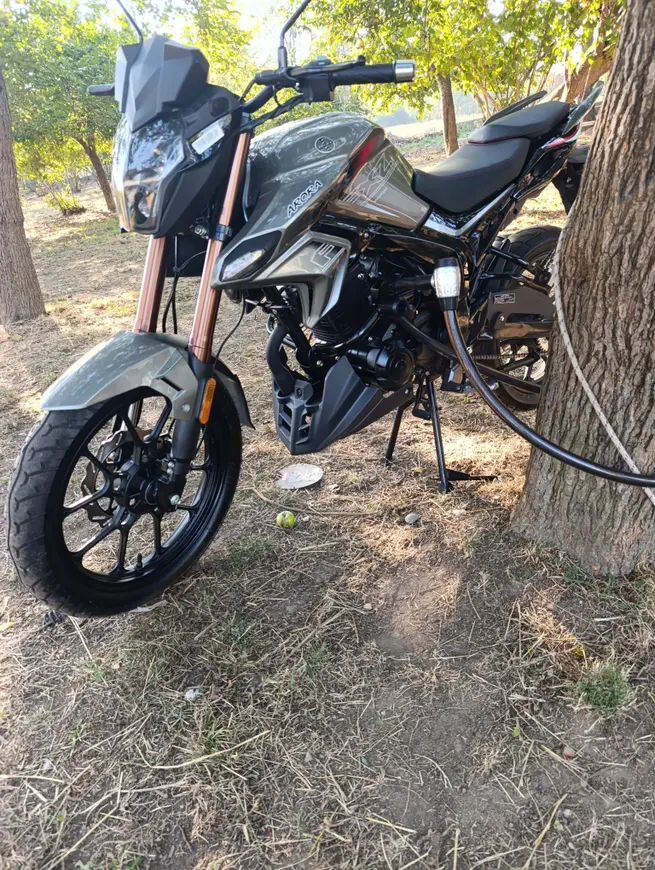2025 Arora Shark 125 benzinli manuel motosiklet - Fotoğraf 1