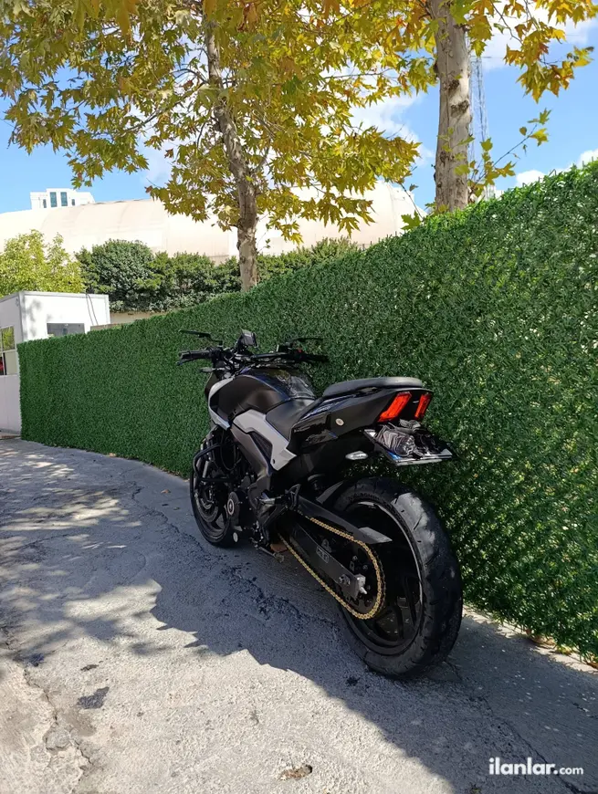 2023 Bajaj Dominar 250 D benzinli manuel motosiklet - Fotoğraf 1
