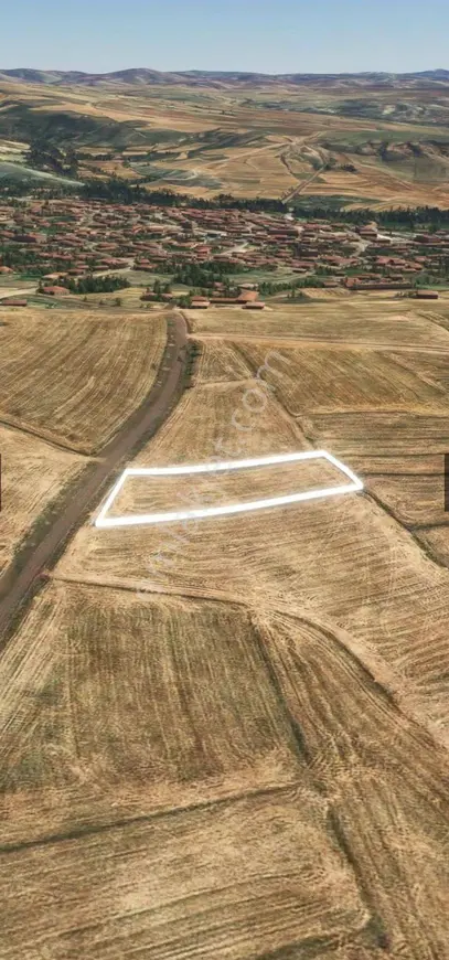 İlan Görseli 1