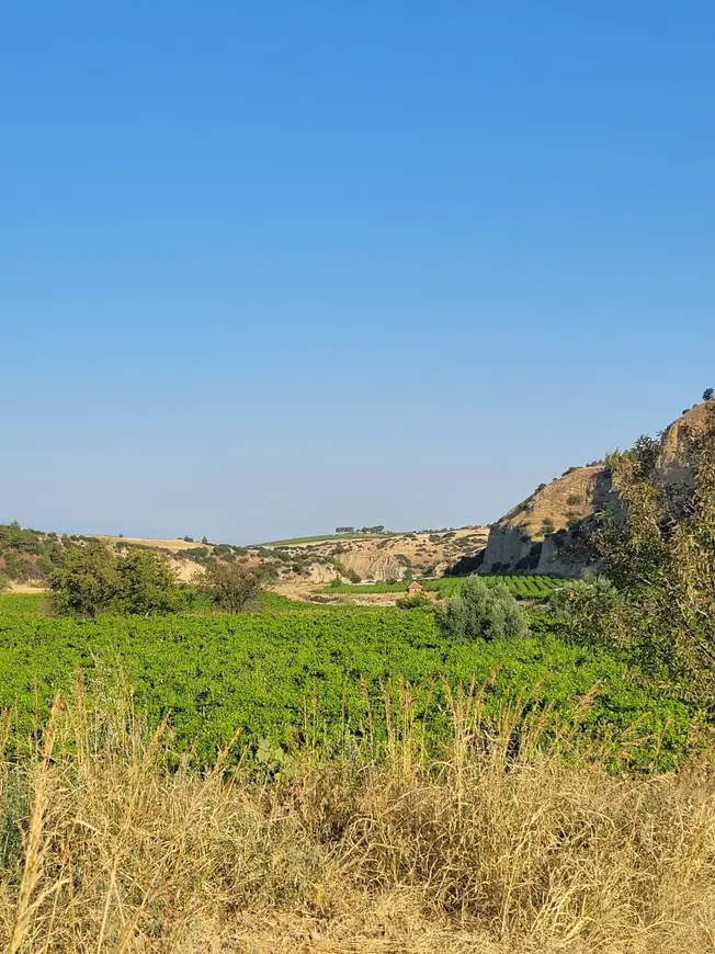 İlan Görseli 1