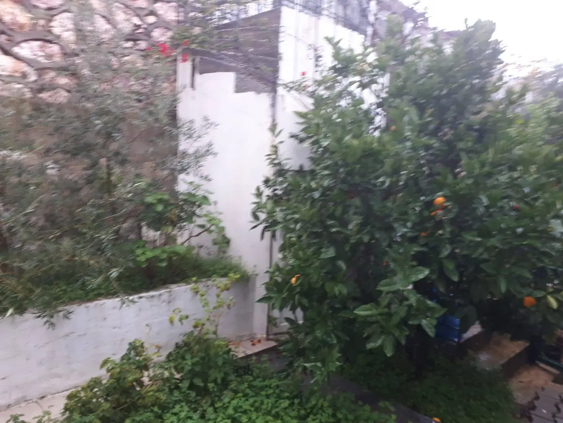 İzmir Karaburun Mordoğan Mahallesi 4+1 150 m² kiralık villa - Fotoğraf 1