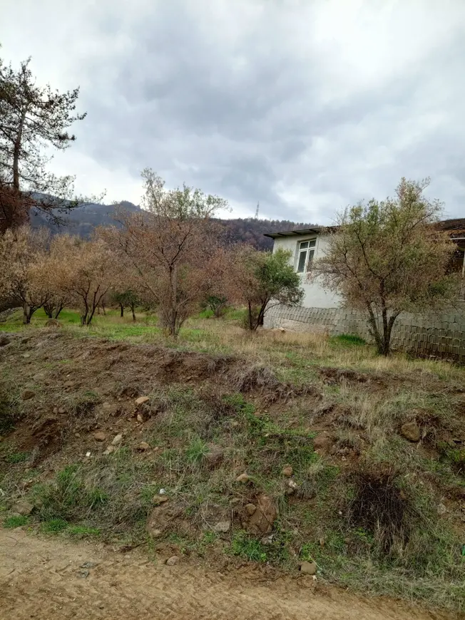 İlan Görseli 1