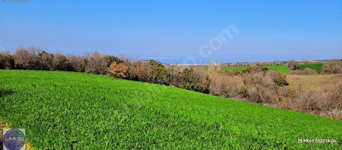 İlan Görseli 1