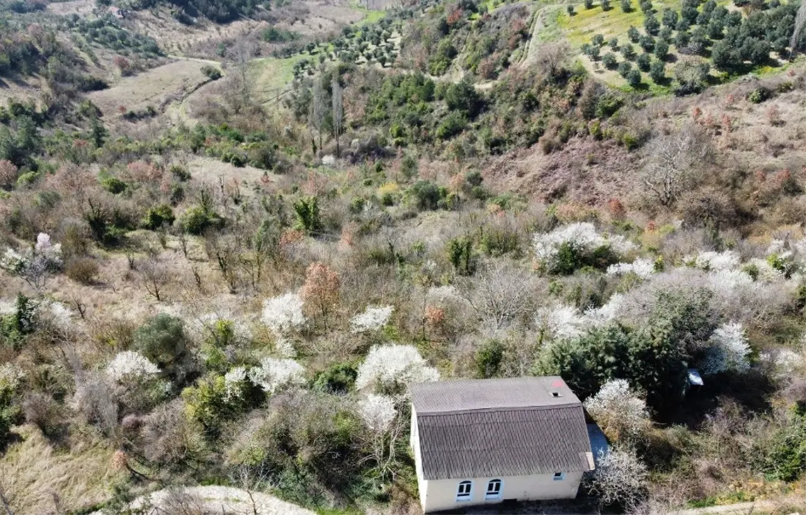 İlan Görseli 1