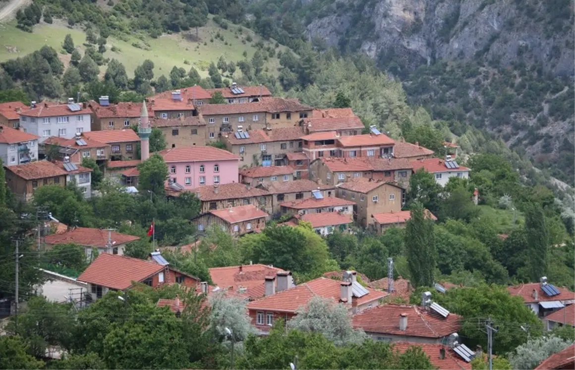 İlan Görseli 1