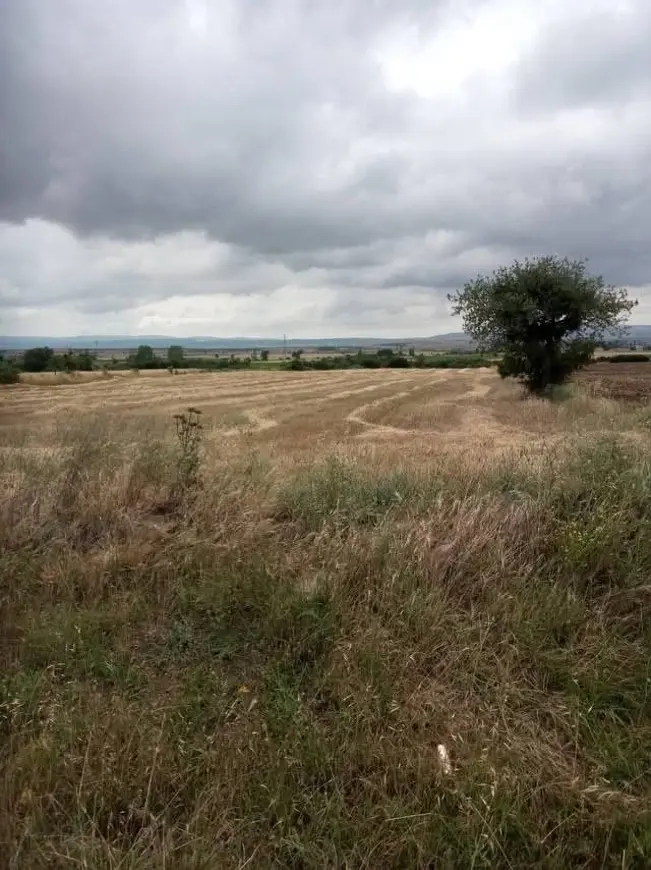 İlan Görseli 1