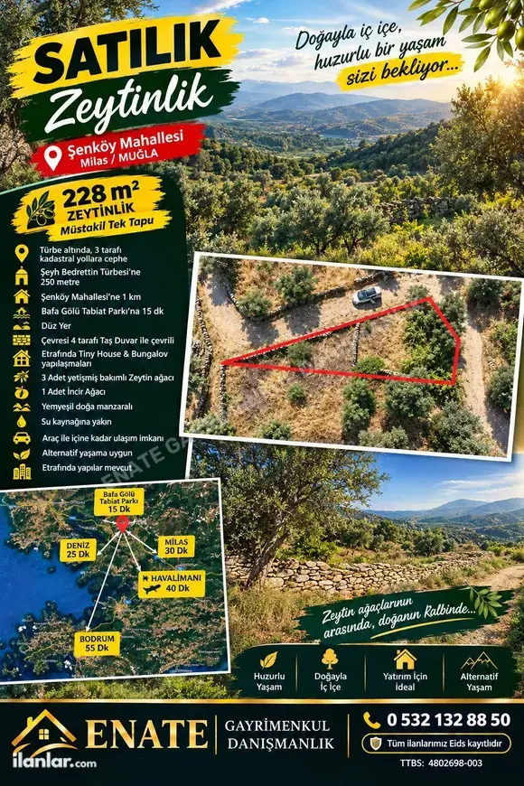Muğla Milas Şenköy Mahallesi 228 m² satılık zeytinlik arsa - Fotoğraf 1