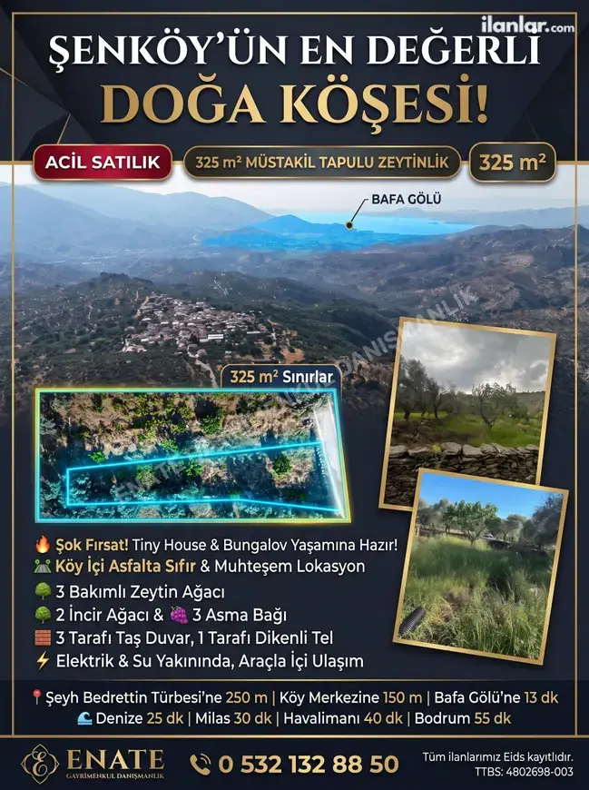 Muğla Milas Şenköy Mahallesi 326 m² satılık zeytinlik arsa - Fotoğraf 1