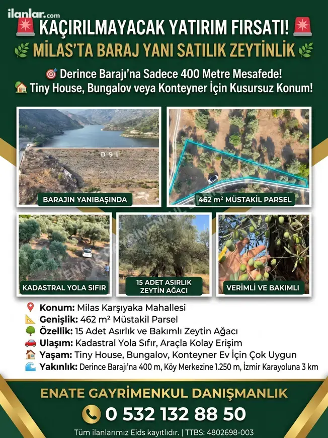 Muğla Milas Karşıyaka Mahallesi 462 m² satılık zeytinlik arsa - Fotoğraf 1