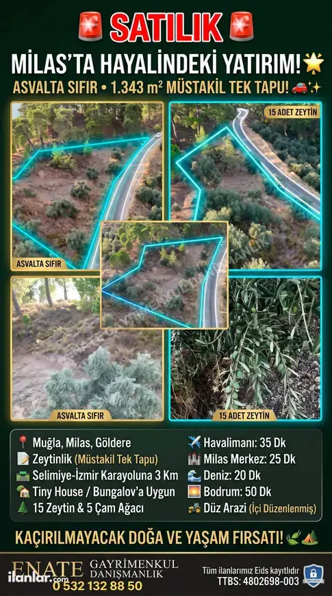 Muğla Milas Göldere Mahallesi 1.343 m² satılık zeytinlik arsa - Fotoğraf 1