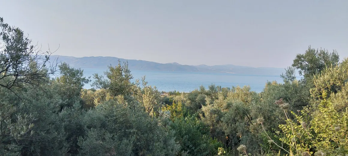 İlan Görseli 1