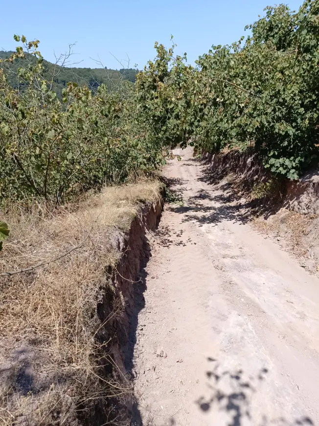 İlan Görseli 1