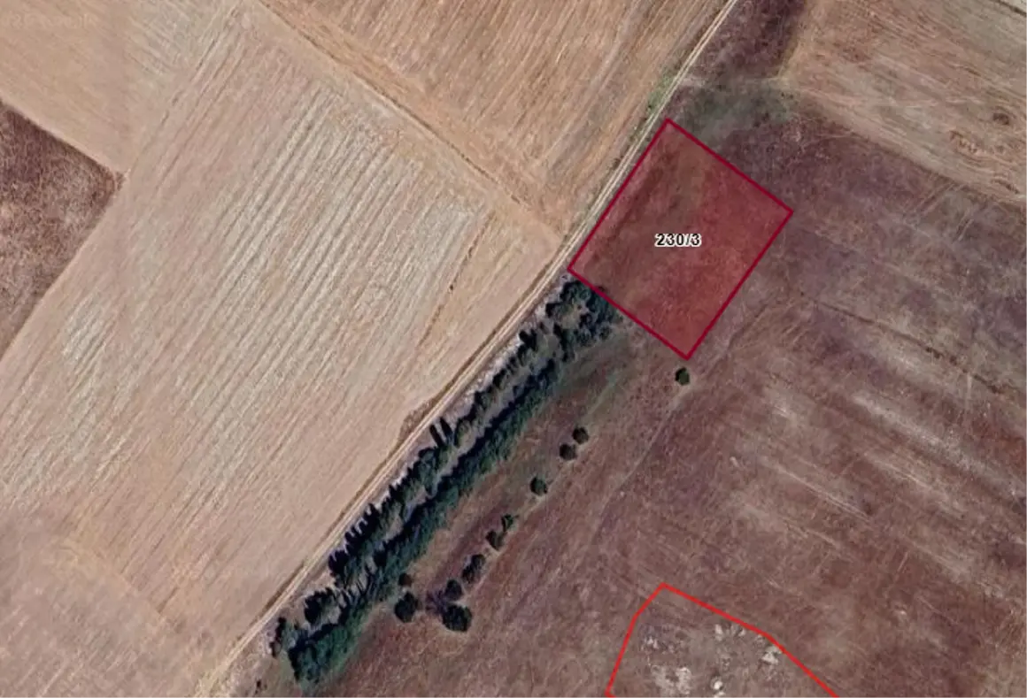İlan Görseli 1