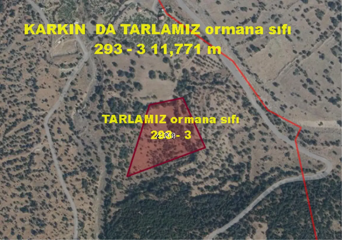 İlan Görseli 1