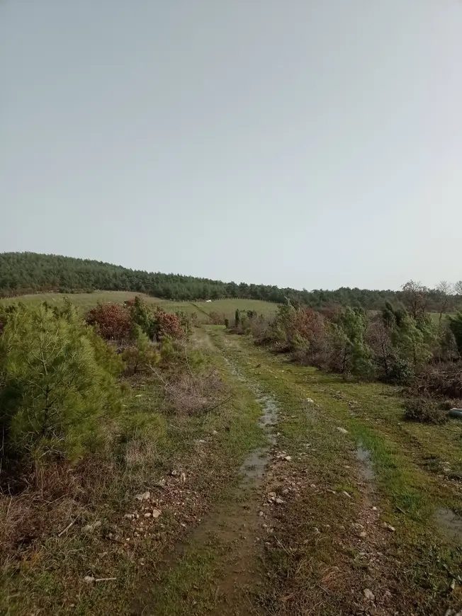 İlan Görseli 1