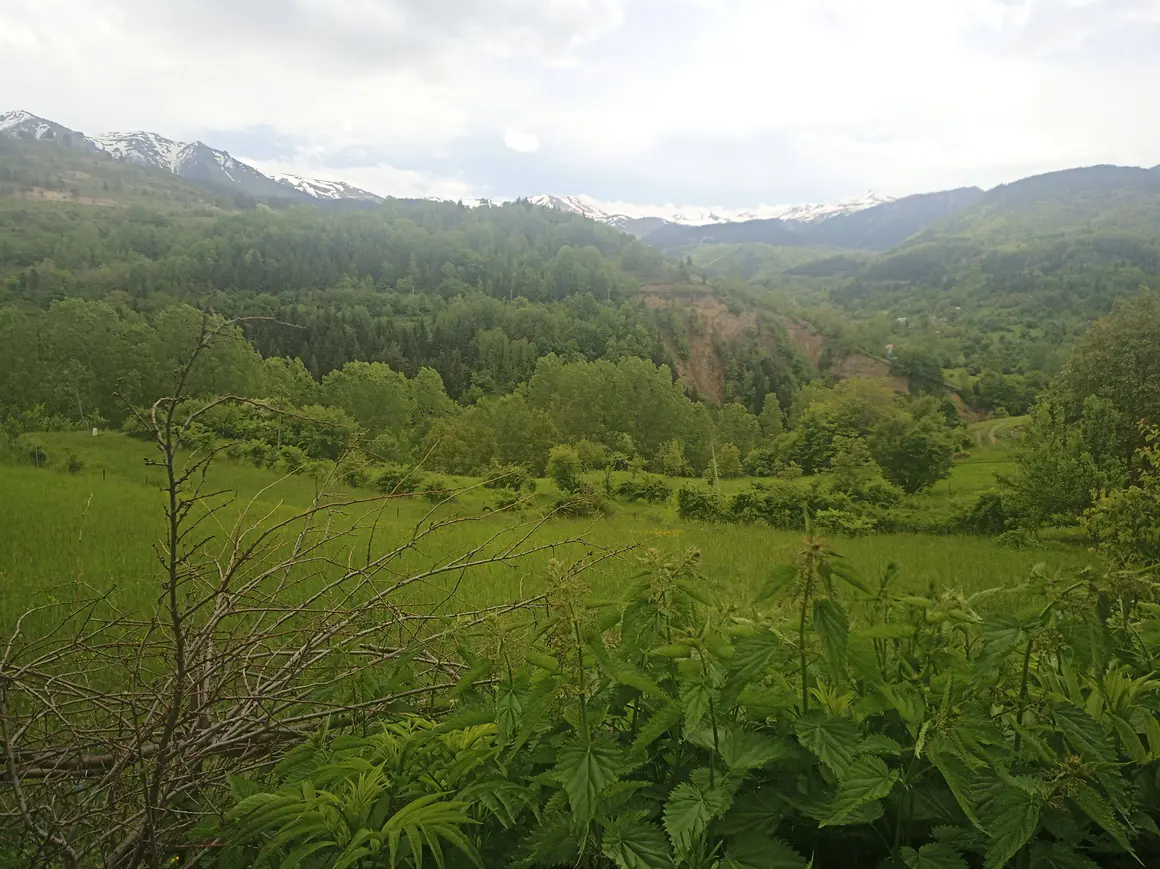 İlan Görseli 1