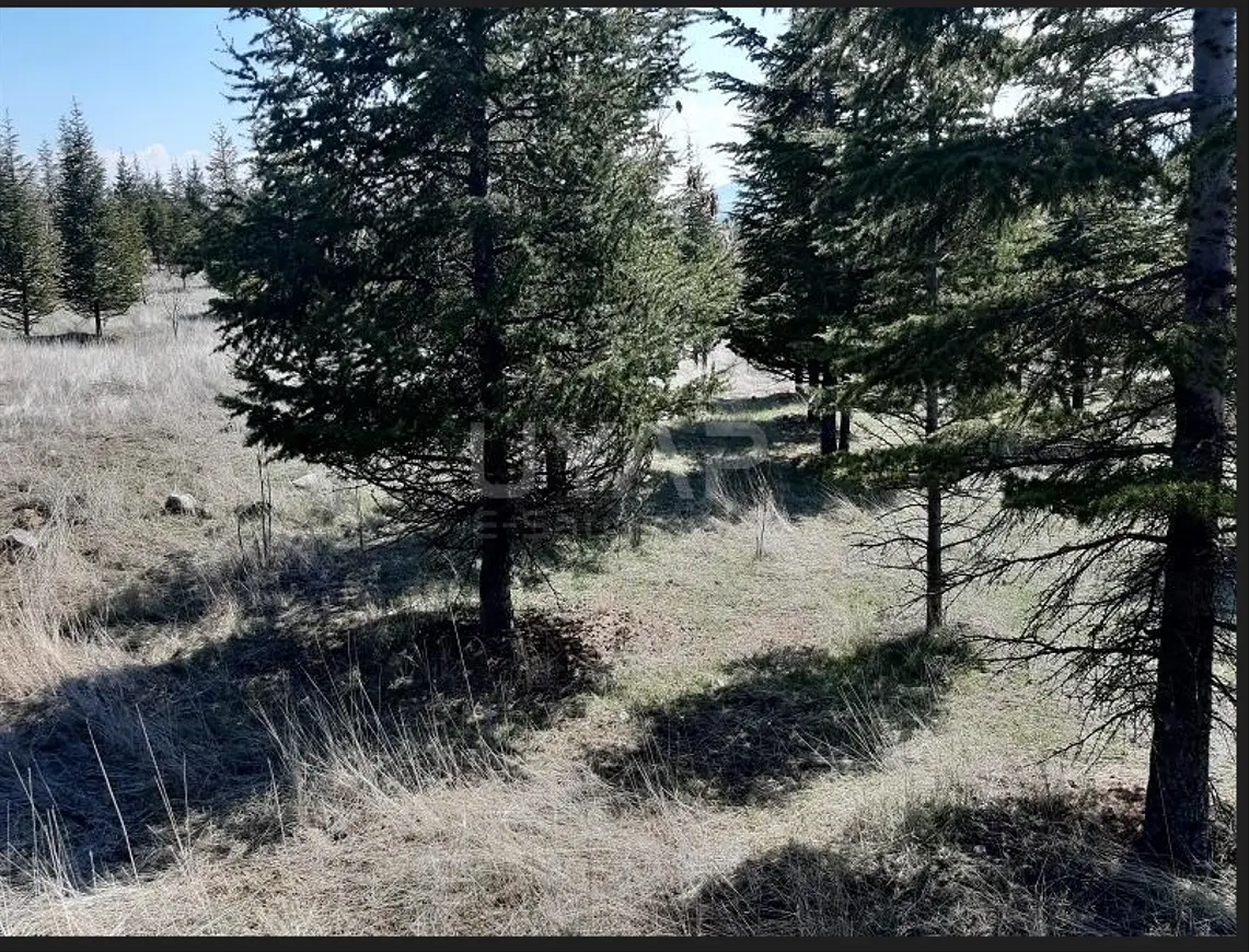 İlan Görseli 1