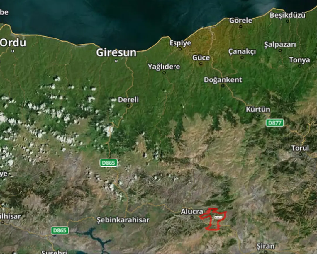 Giresun Alucra Fevzi Çakmak, Fatih Mahallesi 3.932 m² satılık çiftlik arsa - Fotoğraf 1