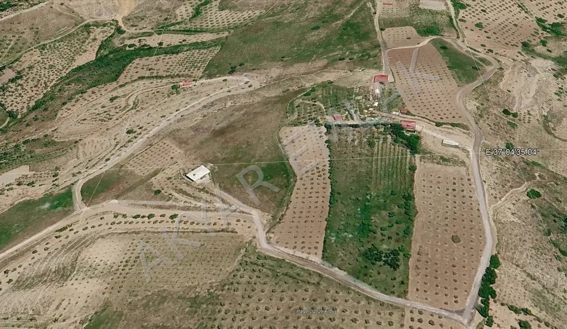 Kahramanmaraş Dulkadiroğlu Akyar Mahallesi 4.760 m² satılık bağ & Bahçe arsa - Fotoğraf 1