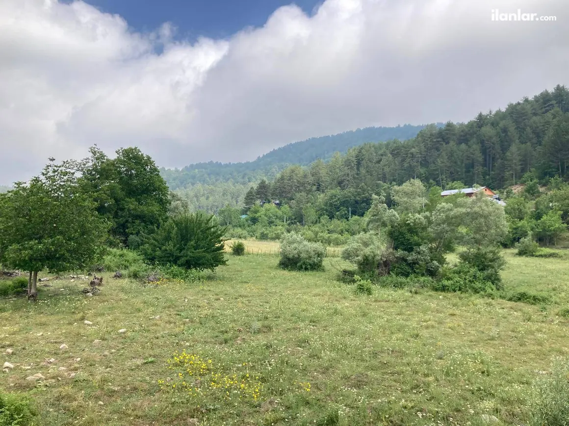 Kahramanmaraş Andırın Yeşiltepe Mahallesi 1.964 m² satılık tarla arsa - Fotoğraf 1
