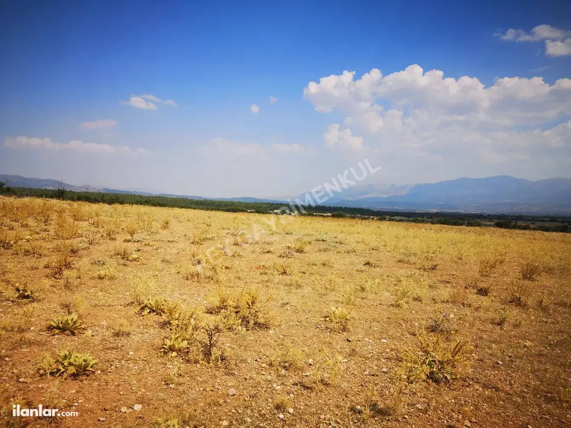 Denizli Tavas Vakıf Mahallesi 29.744 m² satılık tarla arsa - Fotoğraf 1