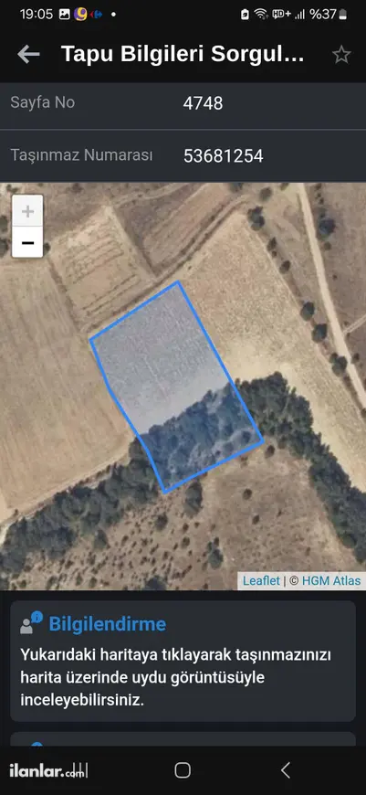 Denizli Bekilli Yeşiloba Mahallesi 4.031 m² satılık arazi arsa - Fotoğraf 1
