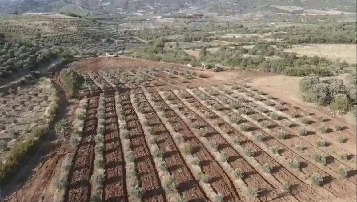 İlan Görseli 1