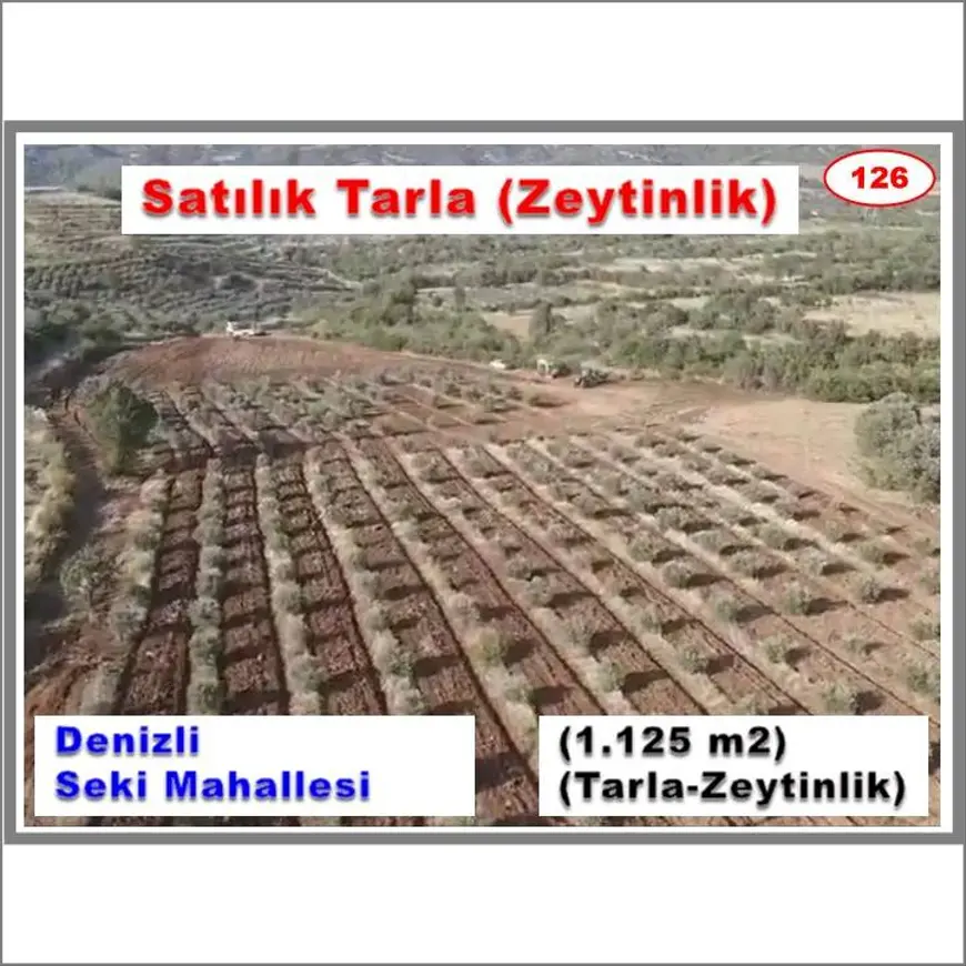 Denizli Tavas Seki Mahallesi 11.225 m² satılık tarla arsa - Fotoğraf 1