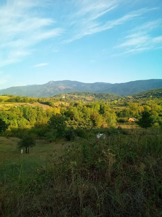İlan Görseli 1