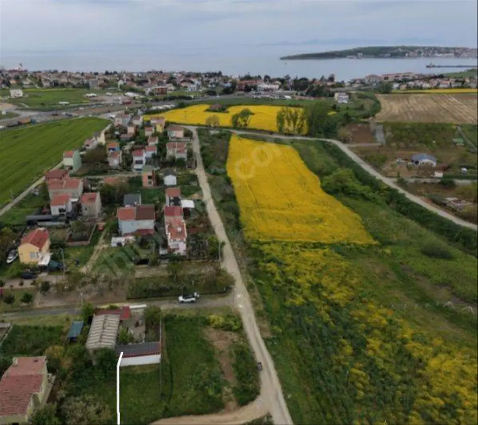 İlan Görseli 1