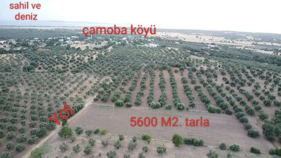 İlan Görseli 1