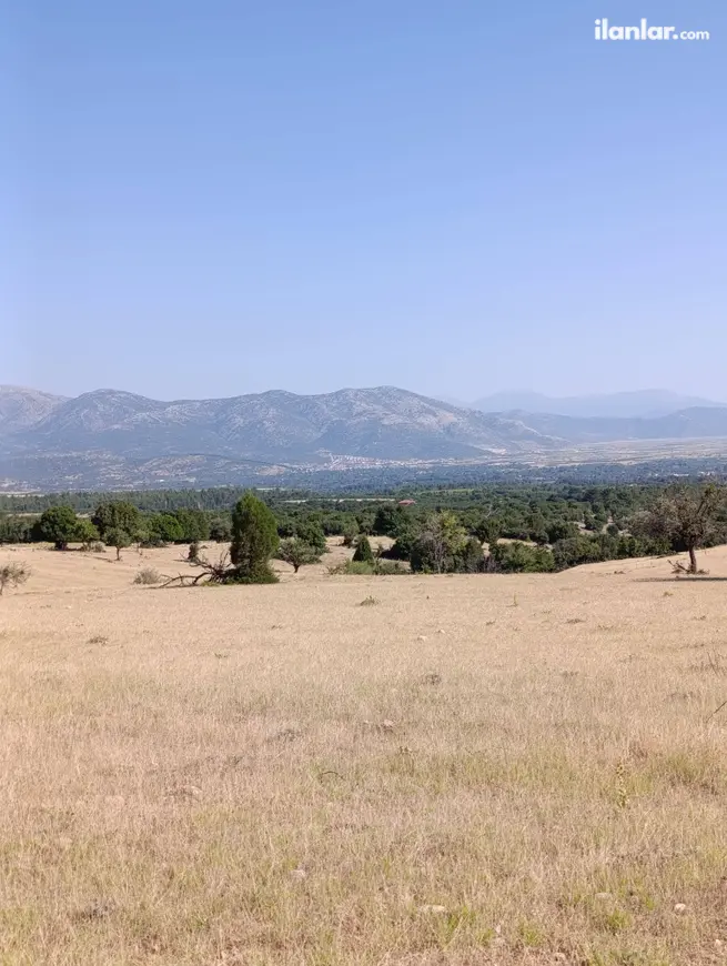 Denizli Tavas Kızılcabölük Mahallesi 49.900 m² satılık tarla arsa - Fotoğraf 1