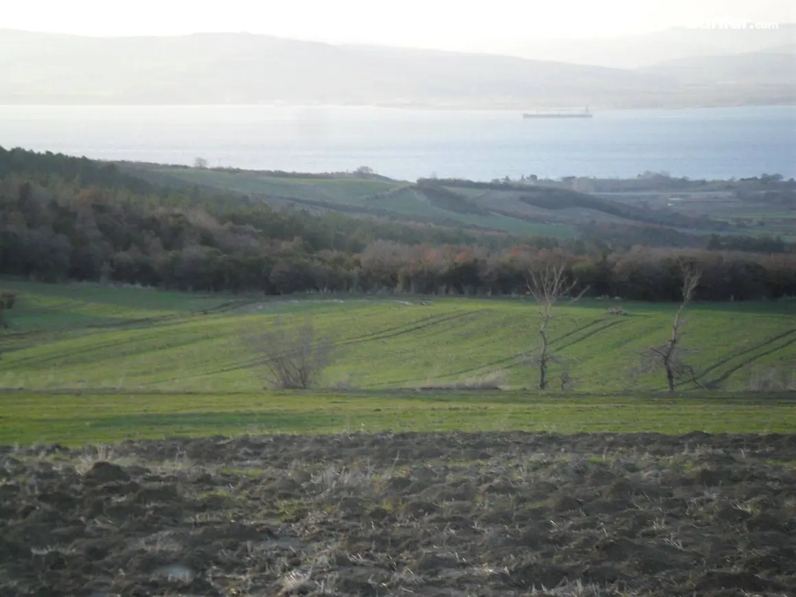 Çanakkale Lapseki Suluca Köyü Mahallesi 14.000 m² satılık tarla arsa - Fotoğraf 1