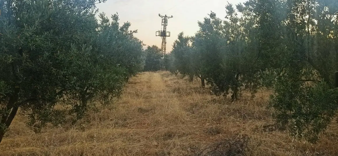 İlan Görseli 1