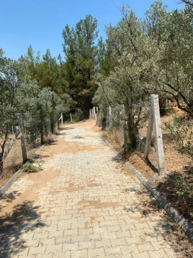 İlan Görseli 1