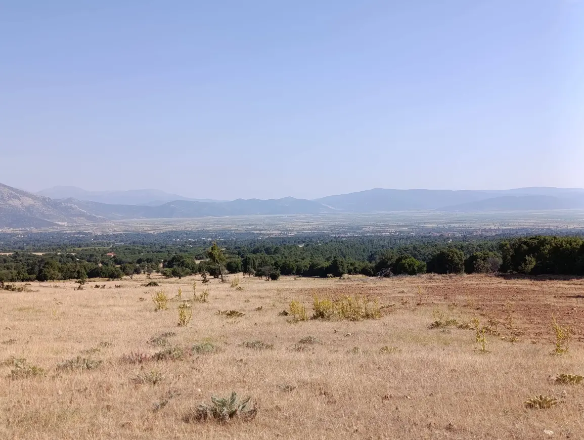 İlan Görseli 1