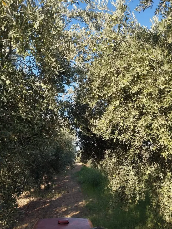 İlan Görseli 1