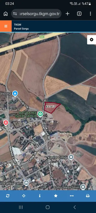 İstanbul Silivri Alipaşa Mahallesi 295 m² satılık tarla arsa - Fotoğraf 1