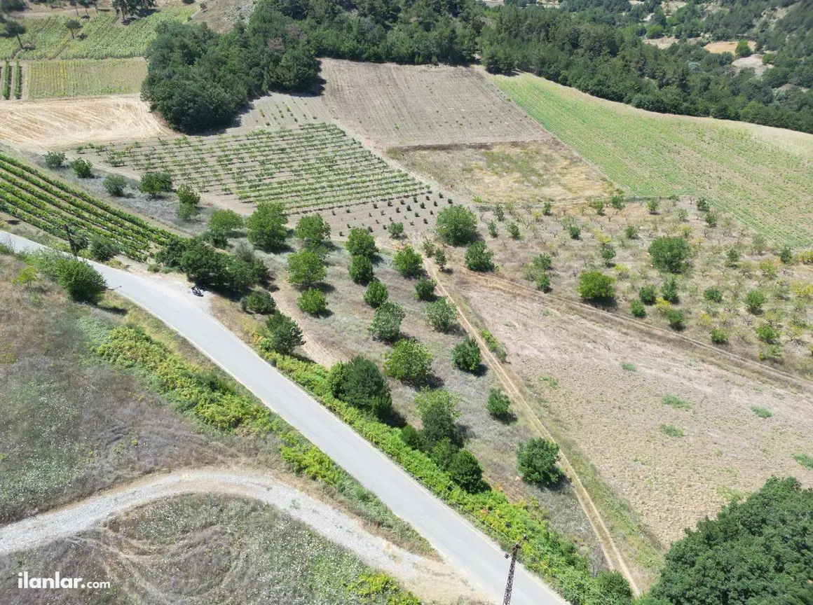 Sakarya Geyve Çukurköy Mahallesi 24.000 m² satılık bağ & Bahçe arsa - Fotoğraf 1