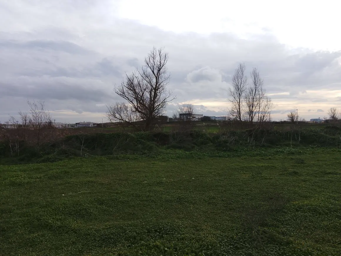 Tekirdağ Saray Beyazköy Mahallesi 247 m² satılık bağ & Bahçe arsa - Fotoğraf 1