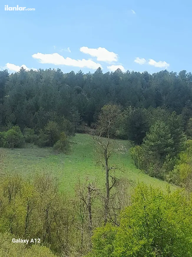 Bursa Harmancık Ballısaray Mahallesi 3.220 m² satılık muhtelif Arsa arsa - Fotoğraf 1