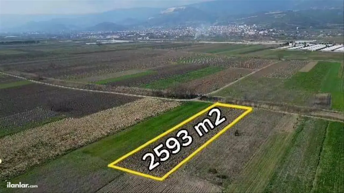 Sakarya Pamukova Cihadiye Mahallesi 2.593 m² kiralık tarla arsa - Fotoğraf 1