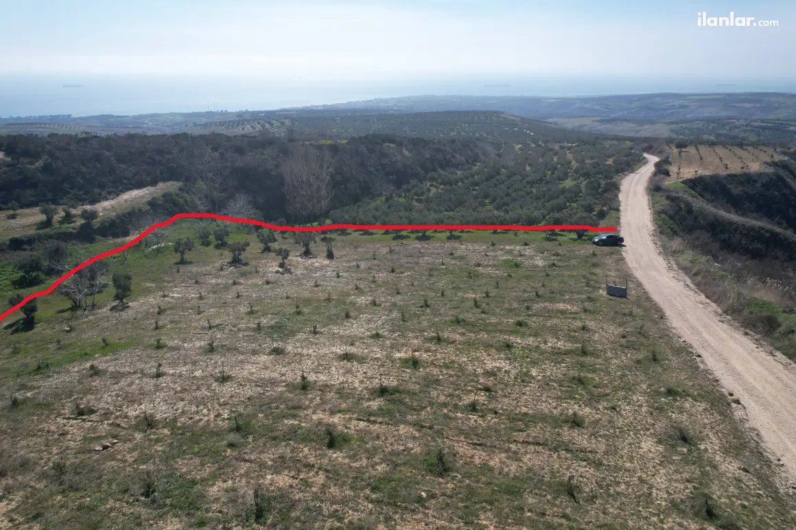 Tekirdağ Şarköy Tepeköy Mahallesi 4.412 m² satılık zeytinlik arsa - Fotoğraf 1