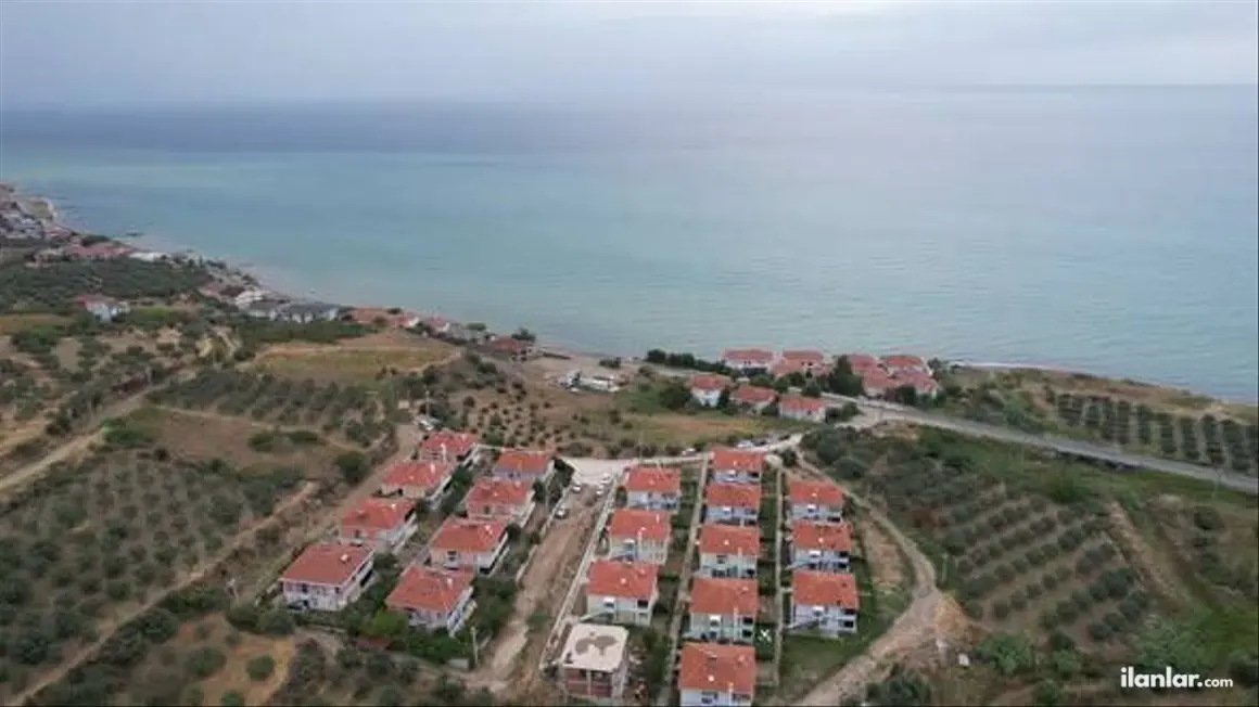Tekirdağ Şarköy Hoşköy Mahallesi 8.000 m² satılık zeytinlik arsa - Fotoğraf 1