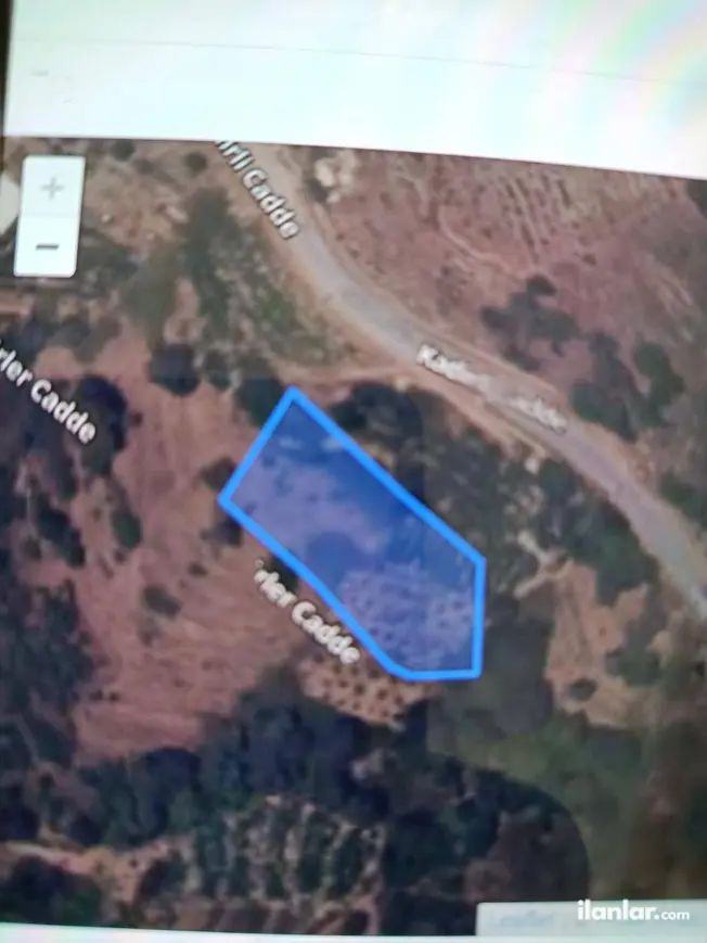 Antalya Alanya Kargıcak Mahallesi 185 m² satılık muhtelif Arsa arsa - Fotoğraf 1