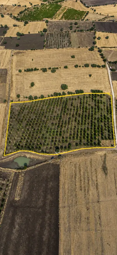 Manisa Kula İbrahimağa Mahallesi 25.650 m² satılık tarla arsa - Fotoğraf 1