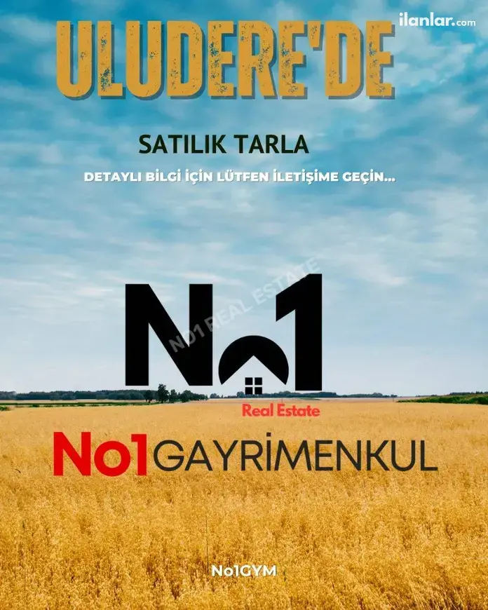 Eskişehir Tepebaşı Uludere Mahallesi 12.600 m² satılık tarla arsa - Fotoğraf 1