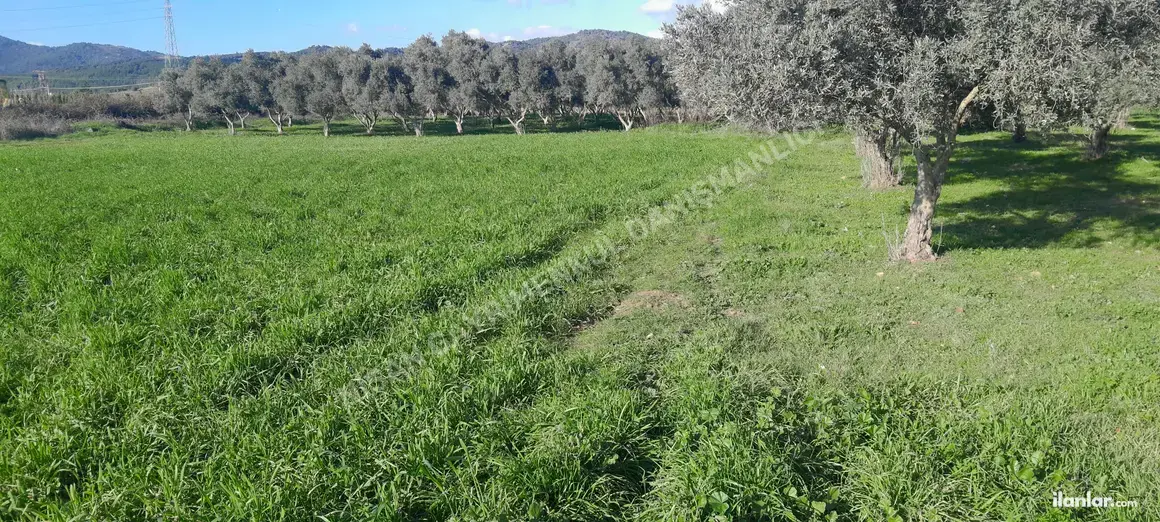 İzmir Torbalı Arslanlar Mahallesi 3.400 m² satılık arazi arsa - Fotoğraf 1