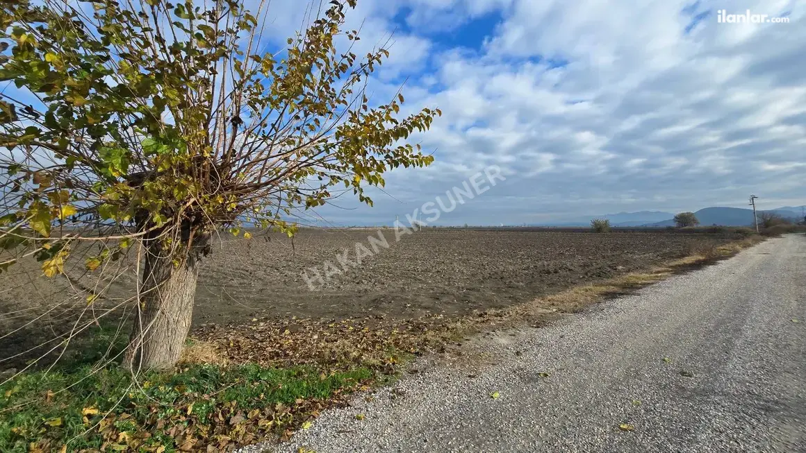 İzmir Torbalı Yeniköy Mahallesi 3.286 m² satılık tarla arsa - Fotoğraf 1