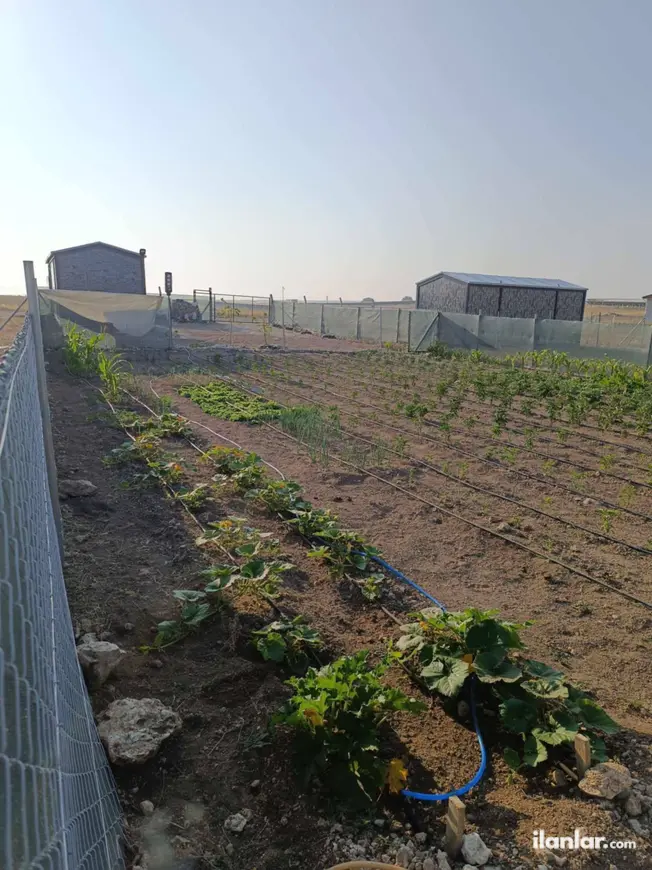 Eskişehir Odunpazarı Doğankaya Mahallesi 250 m² satılık bağ & Bahçe arsa - Fotoğraf 1